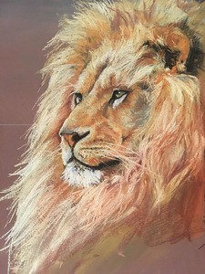 Lion sketchLion sketch